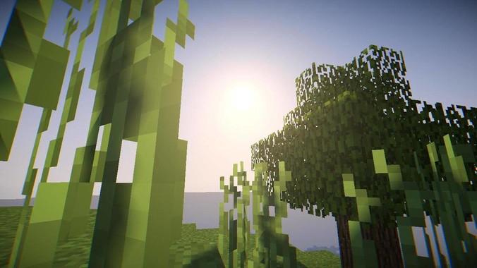 无性婚姻是一种怎样的体验？